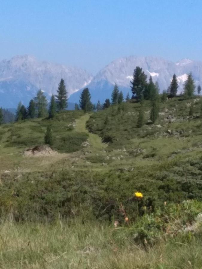 Der Grosse Stadl Längenfeld Dış mekan fotoğraf